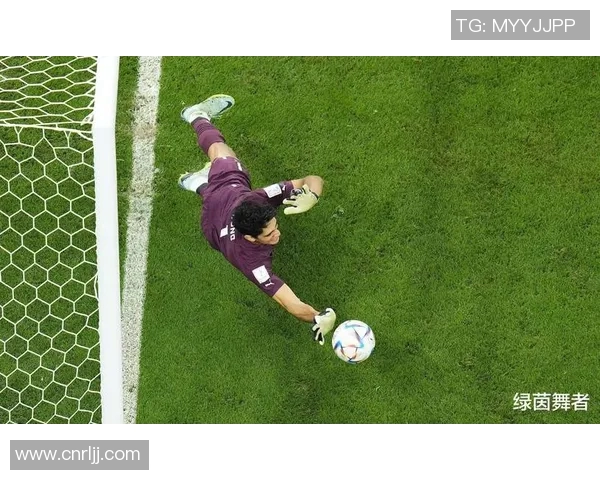 男子游泳明星的巅峰之路：从青涩起步到世界冠军的辉煌征程